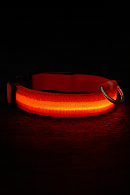 Collier LED Rechargeable Chien Visible