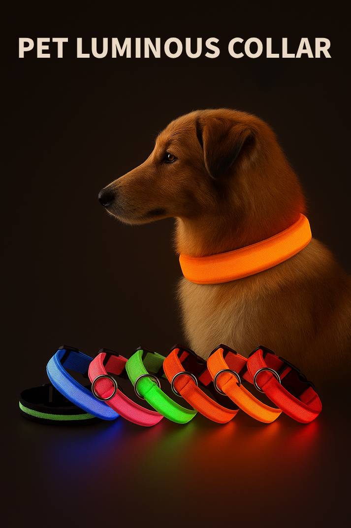 Collier LED Rechargeable Chien Visible
