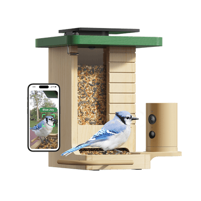 Mangeoire Oiseaux Connectée Bois Caméra