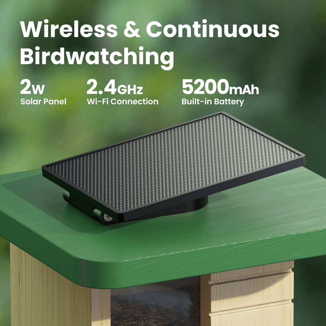 Mangeoire Oiseaux Connectée Bois Caméra