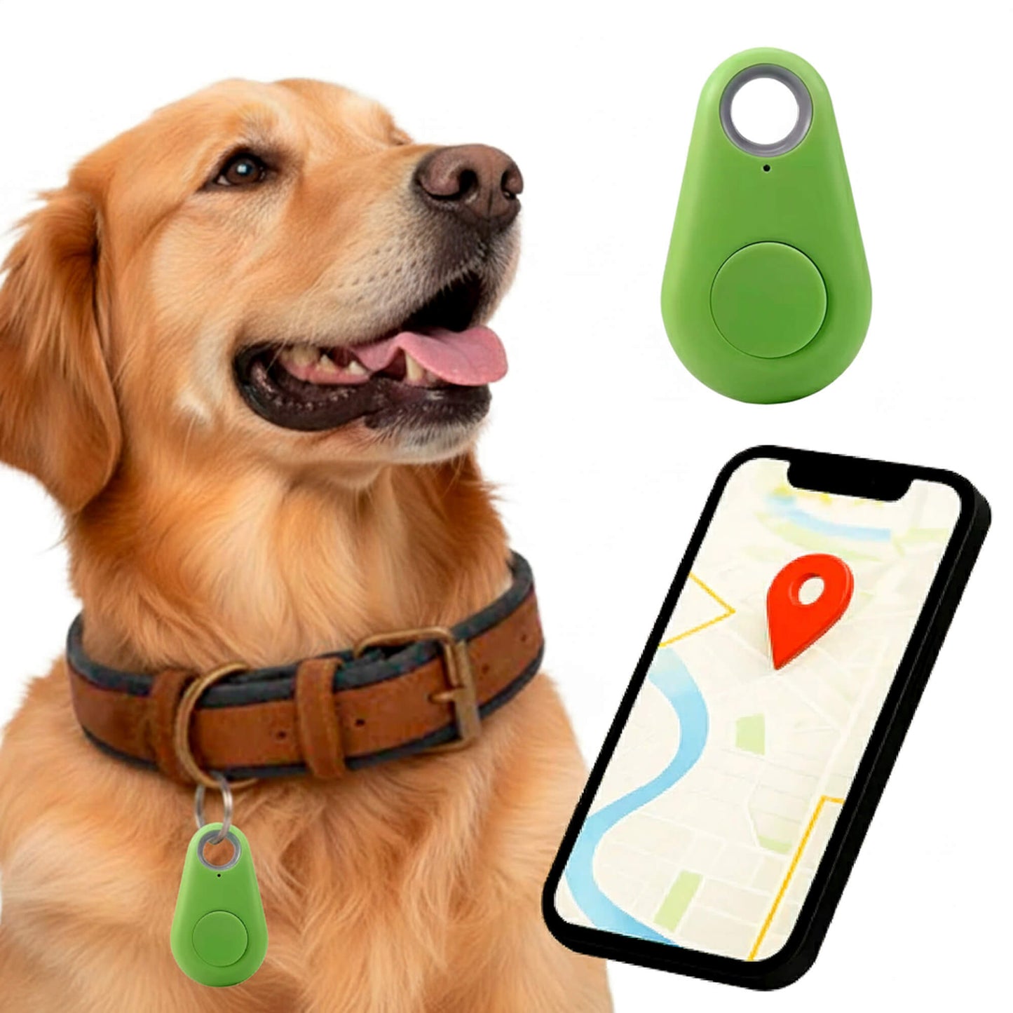 Traceur Chien Find My Sans Abonnement