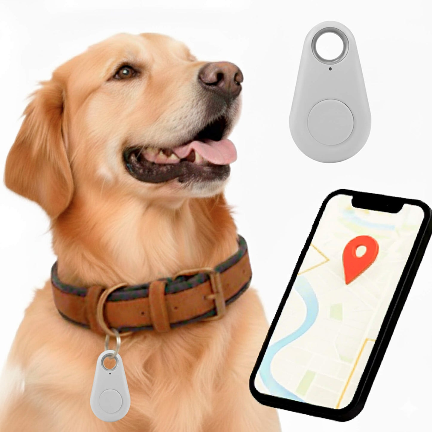 Traceur Chien Find My Sans Abonnement