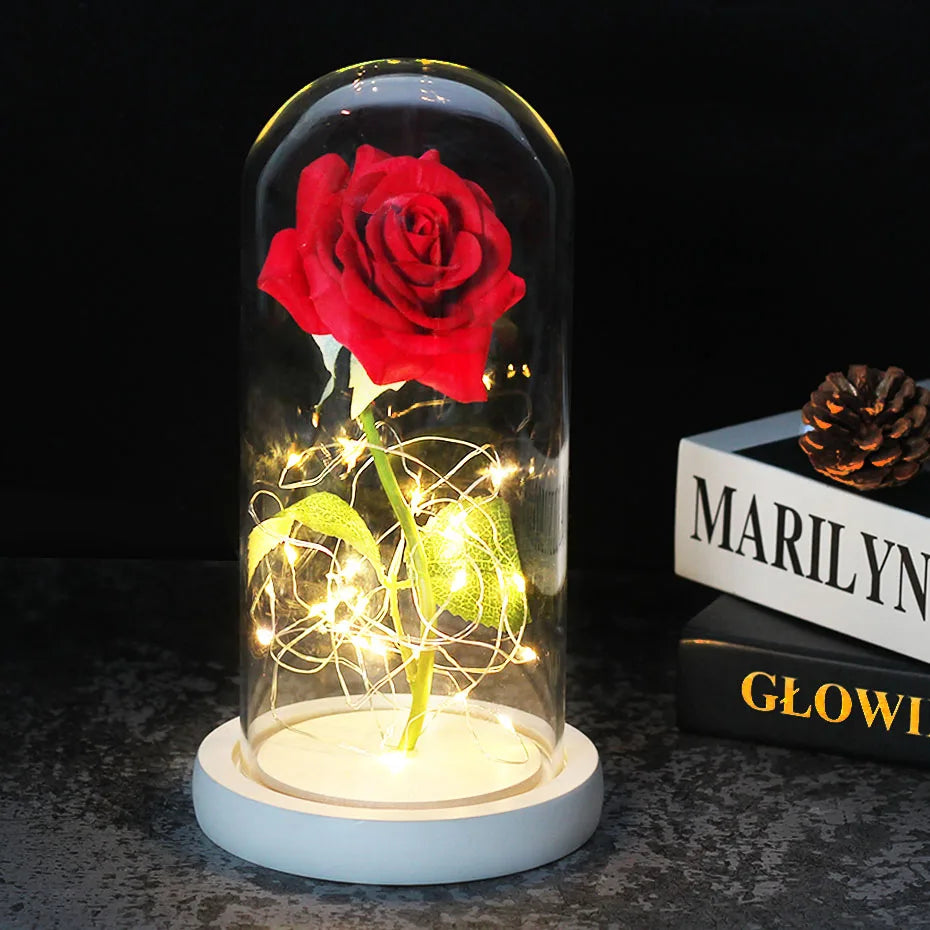 Rose Éternelle LED Sous Cloche