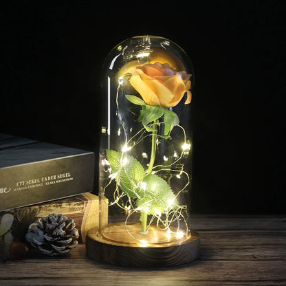 Rose Éternelle LED Sous Cloche