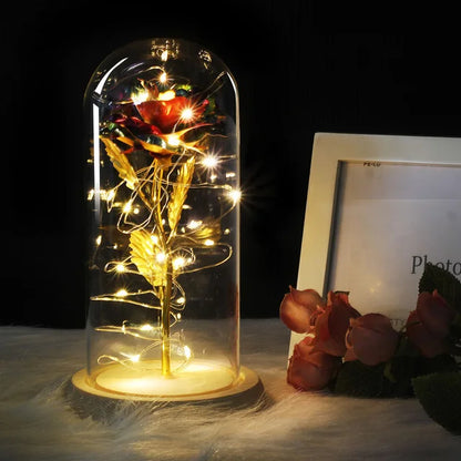 Rose Éternelle LED Sous Cloche