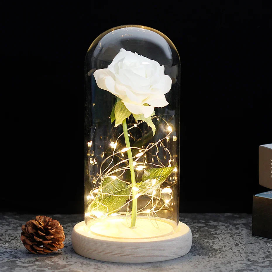 Rose Éternelle LED Sous Cloche