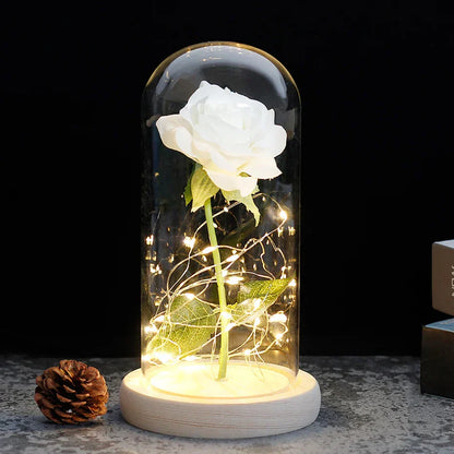 Rose Éternelle LED Sous Cloche