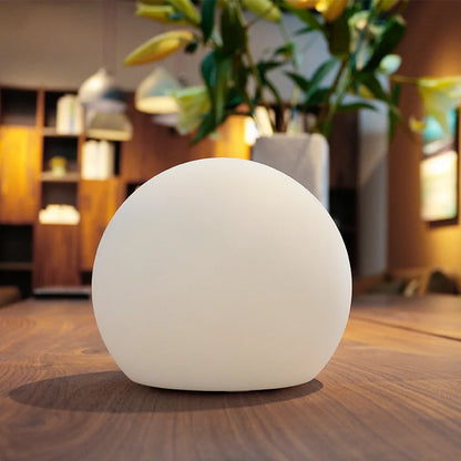 Lampe Boule LED Sans Fil