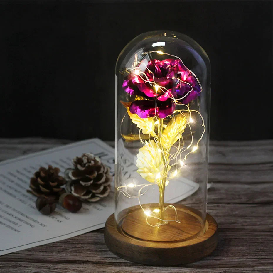 Rose Éternelle LED Sous Cloche