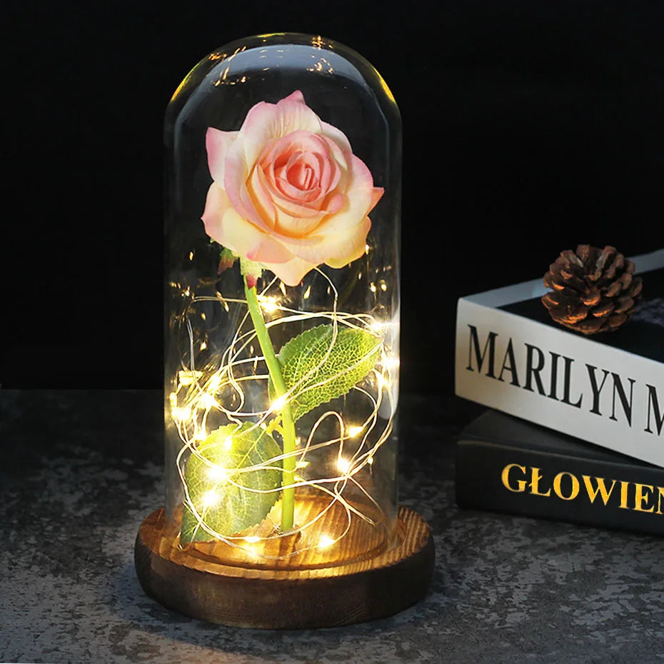 Rose Éternelle LED Sous Cloche