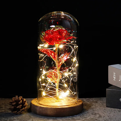 Rose Éternelle LED Sous Cloche