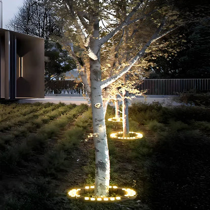 Éclairage Arbre LED – Extérieur – Encastrable Jardin