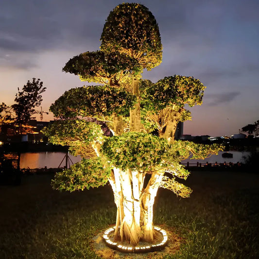 Éclairage Arbre LED – Extérieur – Encastrable Jardin
