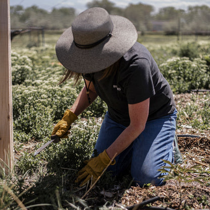 Couteau Hori-Hori Inox Tout-Terrain