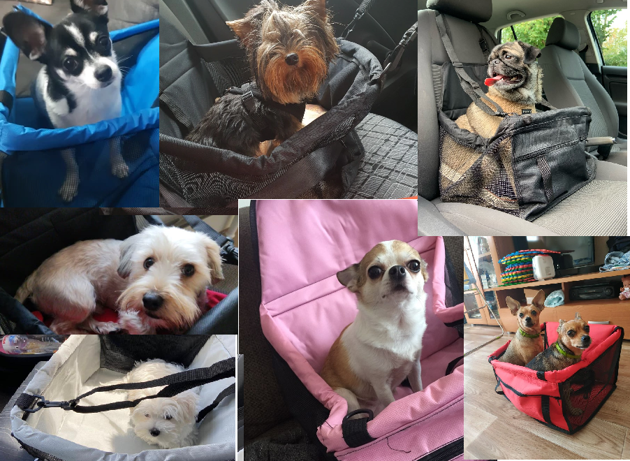 Siège Auto Chien – Réglable – Pliable