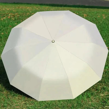 Parapluie Automatique Coupe-Vent | Poignée de Transport