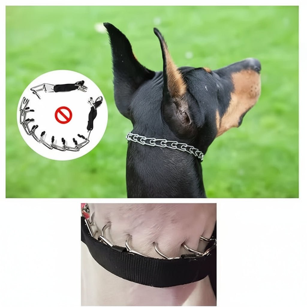Collier de Dressage – Chaîne Acier – Réglable