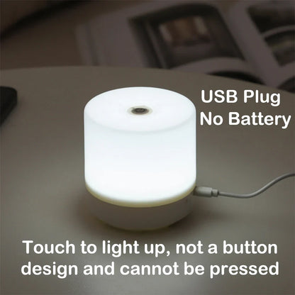 Lampe Veilleuse LED Tactile USB