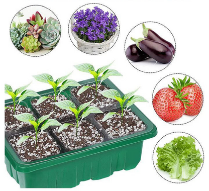 Mini Serre Semis – Éclairage LED – Intérieur