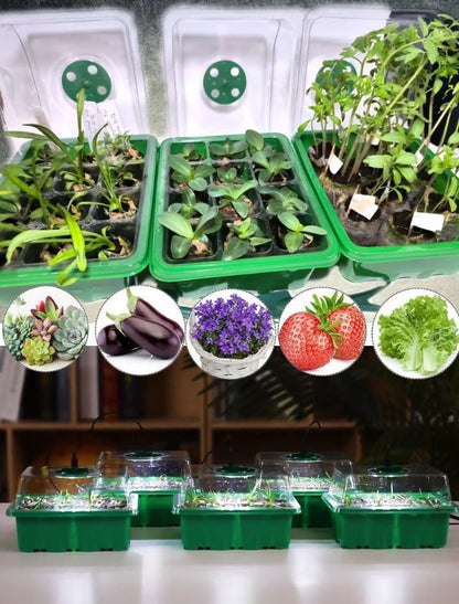 Mini Serre Semis – Éclairage LED – Intérieur