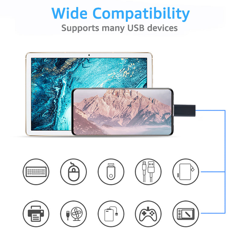 Adaptateur OTG USB-C vers USB