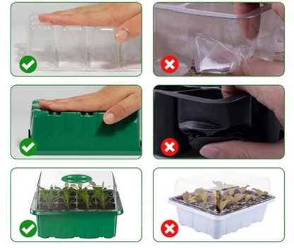 Mini Serre Semis – Éclairage LED – Intérieur