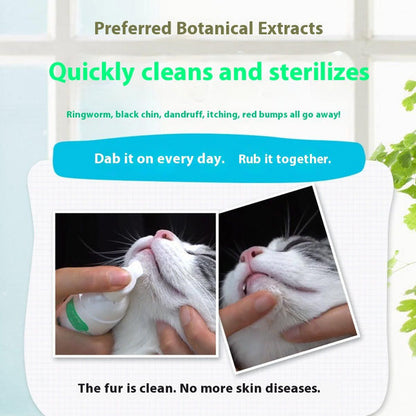 Mousse Désinfectante Sans Rinçage Chiens Chats