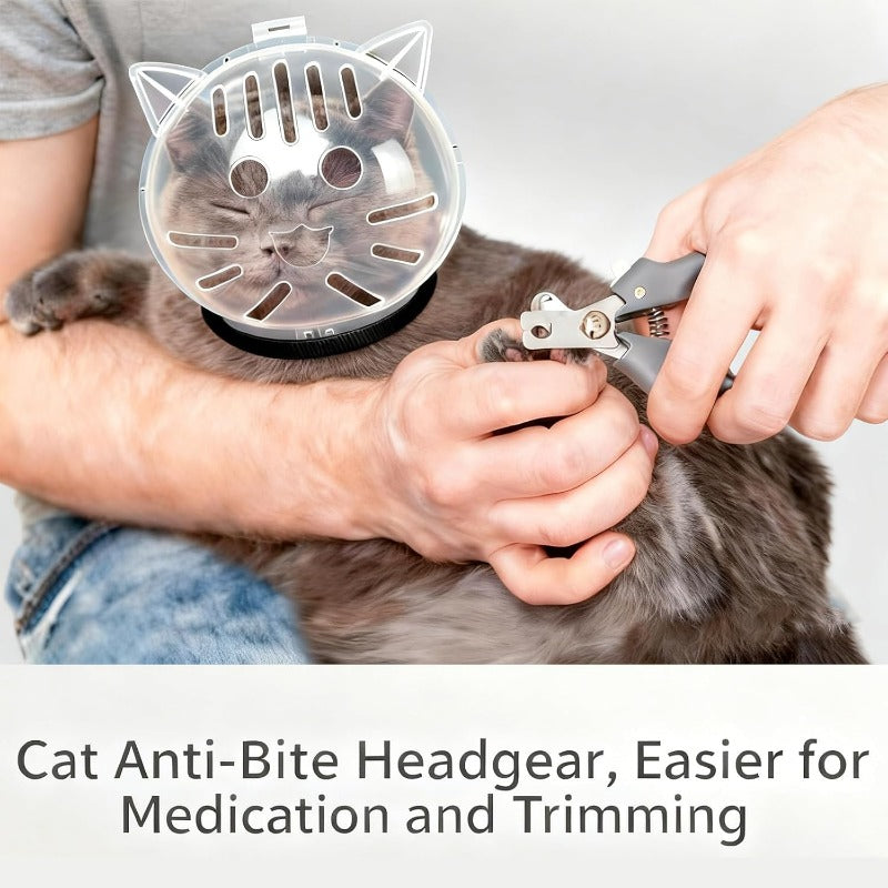 Casque Anti-Morsure Transparent pour Chat