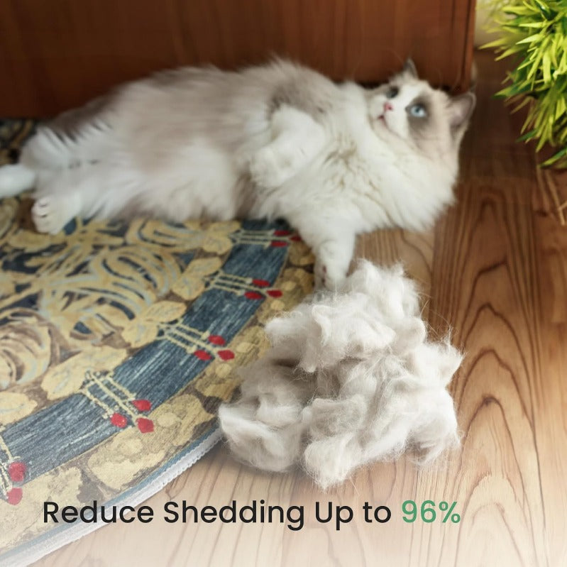 Brosse Anti-Mue Professionnelle Chien Chat