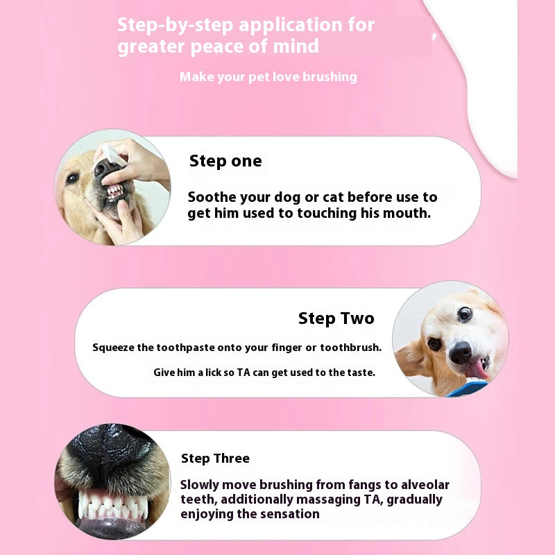 Kit Dentaire Enzymatique Chien Chat