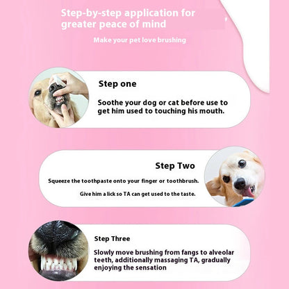 Kit Dentaire Enzymatique Chien Chat