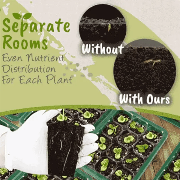 Mini Serre Semis – Éclairage LED – Intérieur