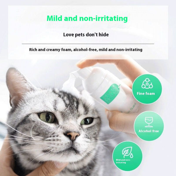 Mousse Désinfectante Sans Rinçage Chiens Chats