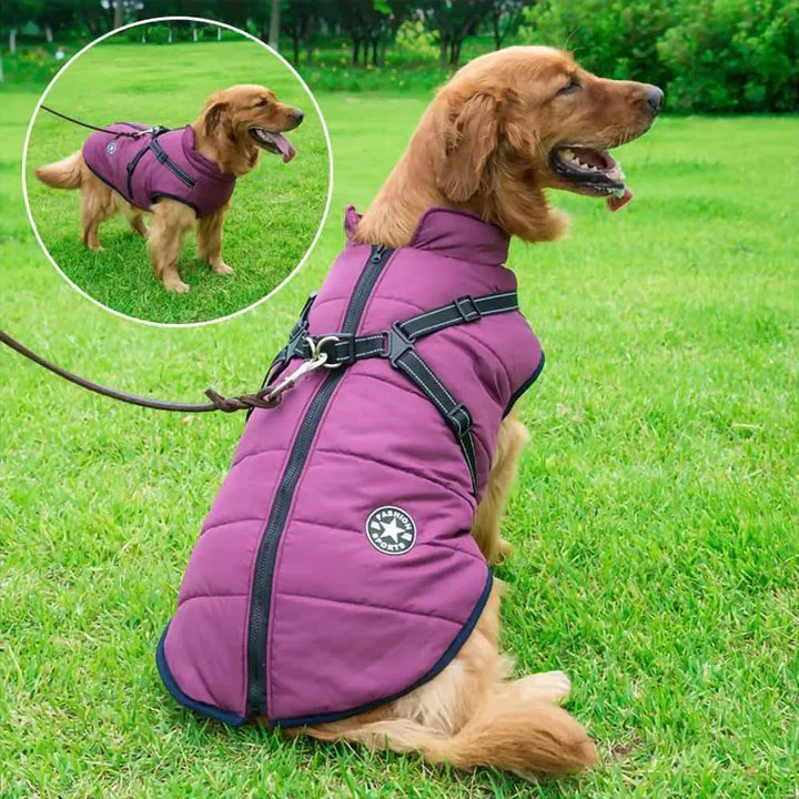 Veste Chien Imperméable Harnais Intégré