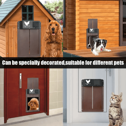 Porte Poulailler Automatique Capteur Lumière