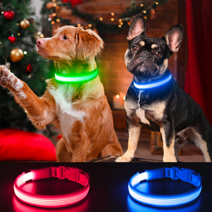 Collier de Sécurité Lumineux pour Chien | Protection et sécurité lors des promenades nocturnes avec votre chien