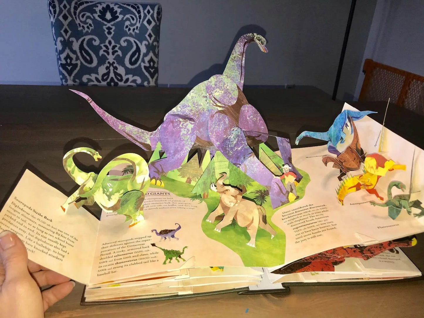 Livre Pop-Up Dinosaures 3D