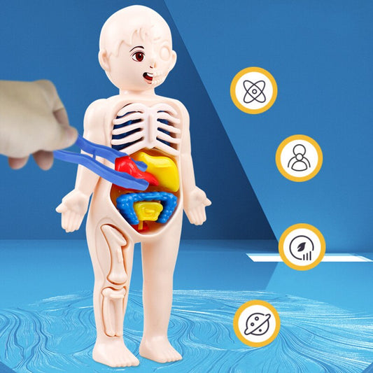 Puzzle Anatomie Enfant – Corps Humain – Éducatif