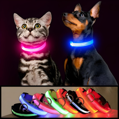 Collier de Sécurité Lumineux pour Chien | Protection et sécurité lors des promenades nocturnes avec votre chien