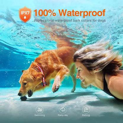 Collier Dressage Chien 1000m Étanche