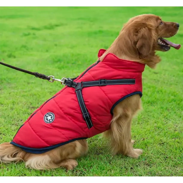 Veste Chien Imperméable Harnais Intégré