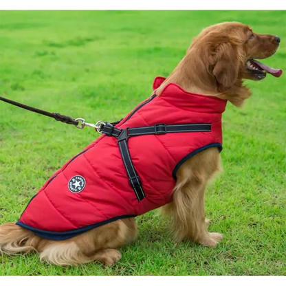 Veste Chien Imperméable Harnais Intégré