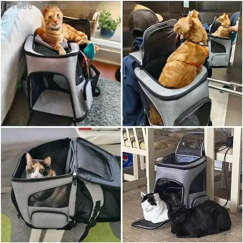 Sac à Dos Chat Respirant Randonnée