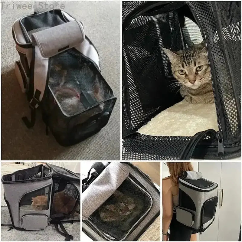 Sac à Dos Chat Respirant Randonnée