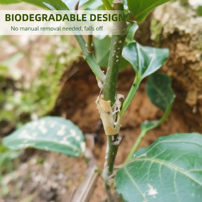 Manchons Greffage Silicone 50pcs