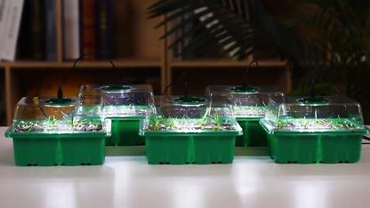 Mini Serre Semis – Éclairage LED – Intérieur