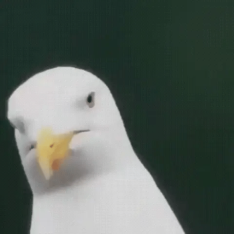 Monoculaire Ultra Zoom Compact HD