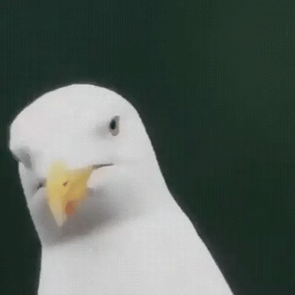 Monoculaire Ultra Zoom Compact HD